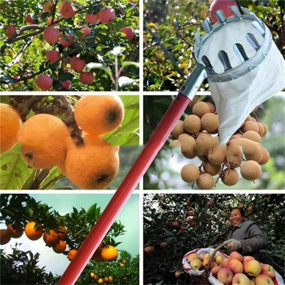 Farming Agriculture Tools - Многоцелевой телескопический сборщик фруктов из оцинкованного