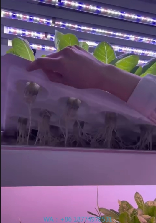 Agriculture Farming System - f Теплица Сельскохозяйственное оборудование для выращивания