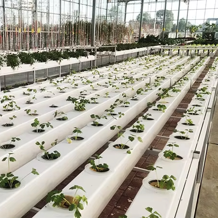 Hydroponic Nft Channel - Коммерческие гидропонные системы для растений: NFT-трубчатые