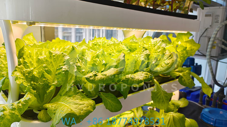 Agriculture Farming System - c Сельскохозяйственная машина для выращивания овощей,
