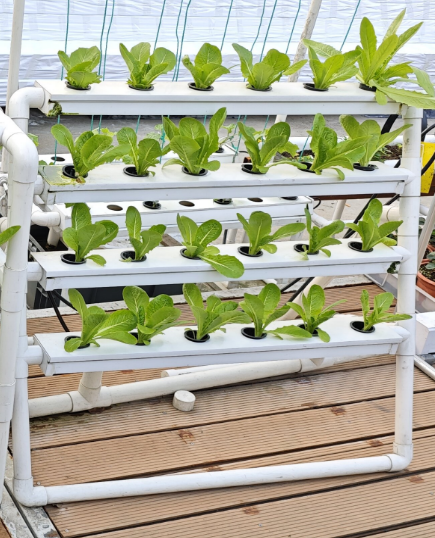 МИНИ- 24-лунтовая вертикальная – обзор и цена Hydroponic Nft Channel