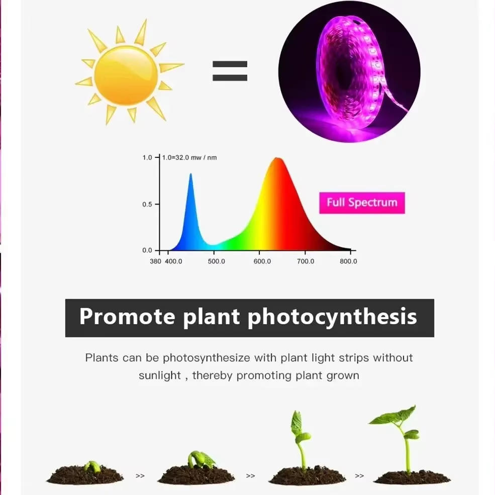 Светодиодные лампы постоянного – обзор и цена Hydroponic Nft Channel