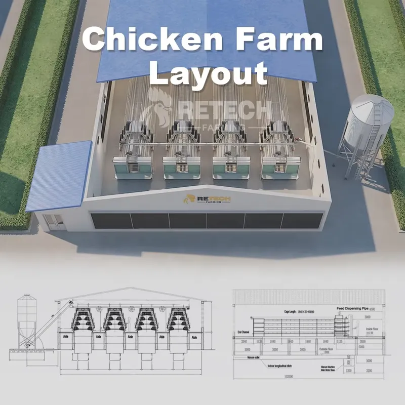 Автоматическая клетка для кур- – обзор и цена Farming Africa