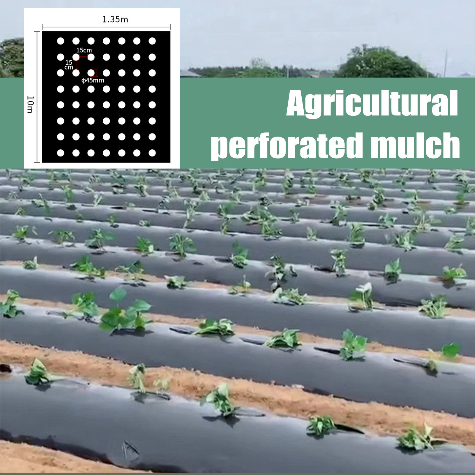 ПЭ перфорированная мульчирующа – обзор и цена Greenhouse Plastic Film