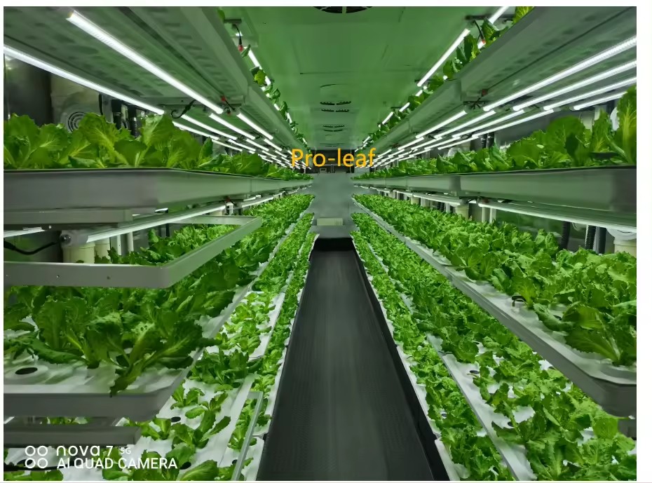f Теплица Сельскохозяйственное – обзор и цена Agriculture Farming System