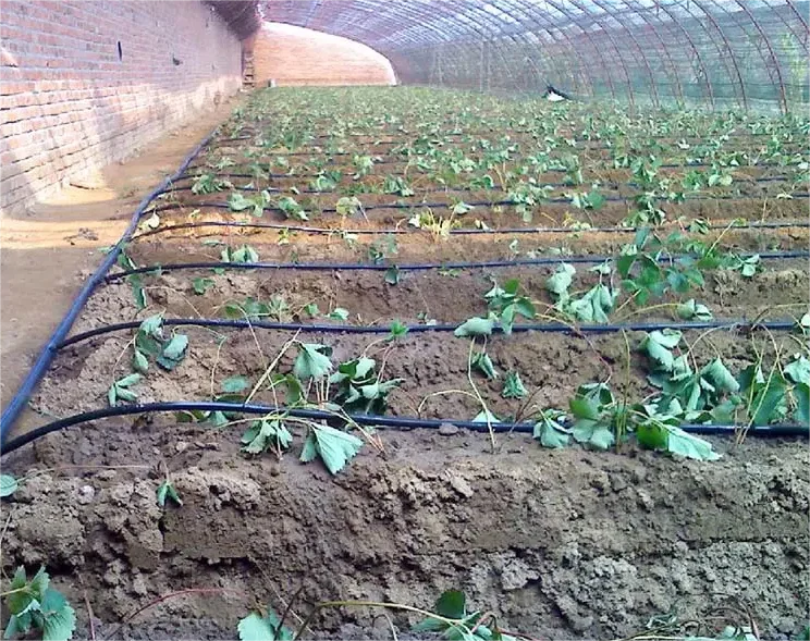 Комплект для капельного орошен – обзор и цена Agriculture Farming System