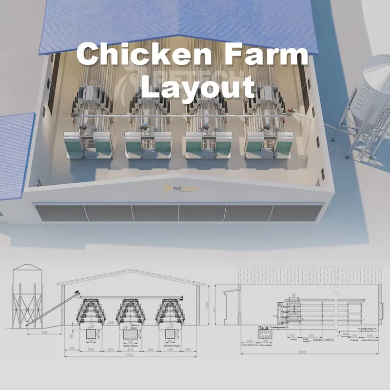Автоматический курятник для не – обзор и цена Farming Africa