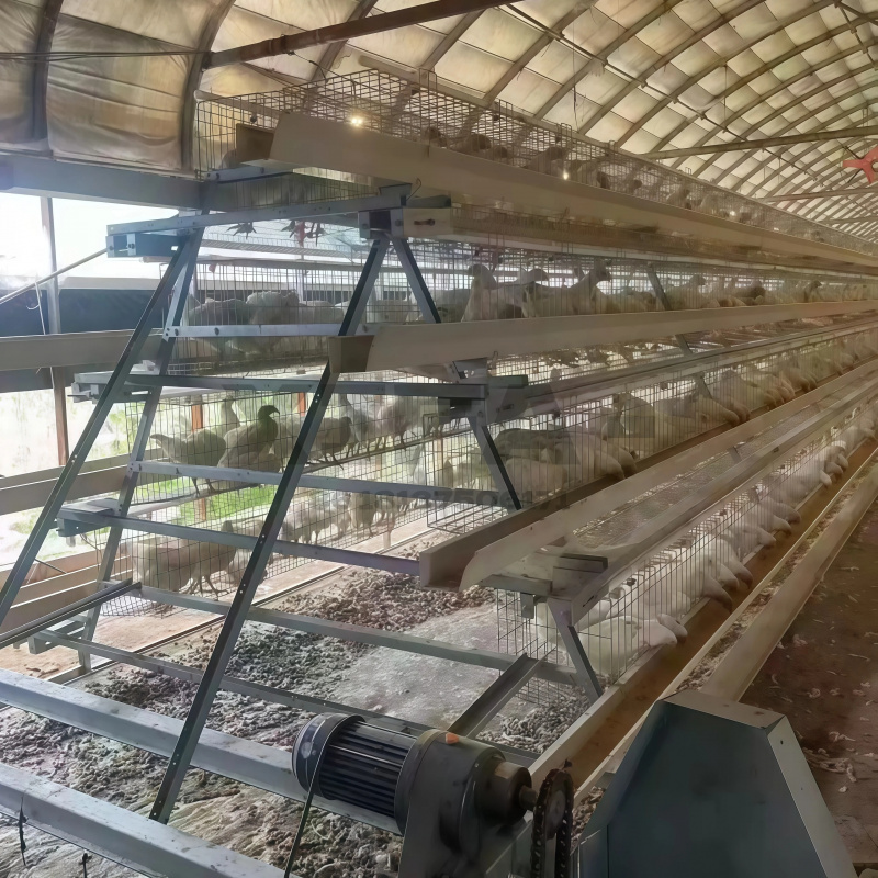 Продажа оборудования в Южной А – обзор и цена Farming Africa