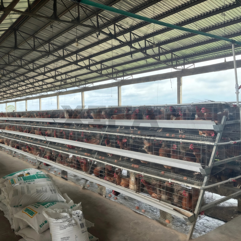 Продажа оборудования в Южной А – обзор и цена Farming Africa